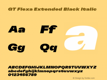 GT Flexa Ext Bl It Version 2.005;hotconv 1.0.109;makeotfexe 2.5.65596图片样张