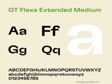 GT Flexa Ext Md Version 2.005;hotconv 1.0.109;makeotfexe 2.5.65596图片样张