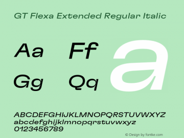 GT Flexa Ext Rg It Version 2.005;hotconv 1.0.109;makeotfexe 2.5.65596图片样张