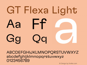 GT Flexa Lt Version 2.005;hotconv 1.0.109;makeotfexe 2.5.65596图片样张