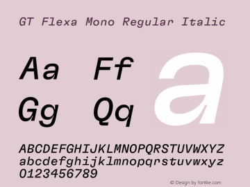 GT Flexa Mono Rg It Version 2.005;hotconv 1.0.109;makeotfexe 2.5.65596图片样张