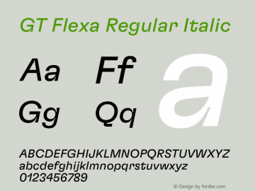 GT Flexa Rg It Version 2.005;hotconv 1.0.109;makeotfexe 2.5.65596图片样张