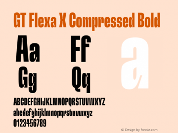 GT Flexa X Cm Bd Version 2.005;hotconv 1.0.109;makeotfexe 2.5.65596图片样张