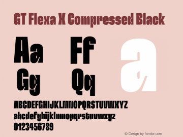 GT Flexa X Cm Bl Version 2.005;hotconv 1.0.109;makeotfexe 2.5.65596图片样张