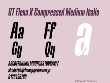 GT Flexa X Cm Md It Version 2.005;hotconv 1.0.109;makeotfexe 2.5.65596图片样张