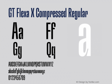 GT Flexa X Cm Rg Version 2.005;hotconv 1.0.109;makeotfexe 2.5.65596图片样张