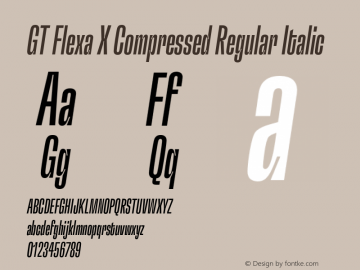 GT Flexa X Cm Rg It Version 2.005;hotconv 1.0.109;makeotfexe 2.5.65596图片样张