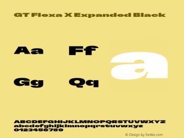 GT Flexa X Exp Bl Version 2.005;hotconv 1.0.109;makeotfexe 2.5.65596图片样张