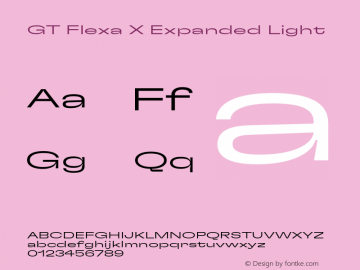 GT Flexa X Exp Lt Version 2.005;hotconv 1.0.109;makeotfexe 2.5.65596图片样张