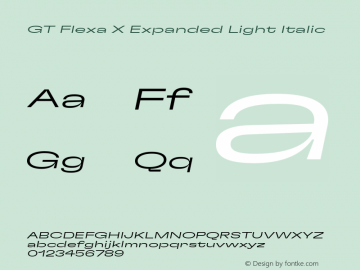 GT Flexa X Exp Lt It Version 2.005;hotconv 1.0.109;makeotfexe 2.5.65596图片样张