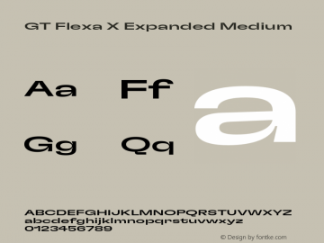 GT Flexa X Exp Md Version 2.005;hotconv 1.0.109;makeotfexe 2.5.65596图片样张