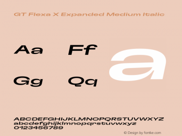 GT Flexa X Exp Md It Version 2.005;hotconv 1.0.109;makeotfexe 2.5.65596图片样张