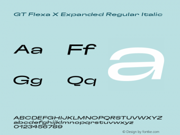 GT Flexa X Exp Rg It Version 2.005;hotconv 1.0.109;makeotfexe 2.5.65596图片样张