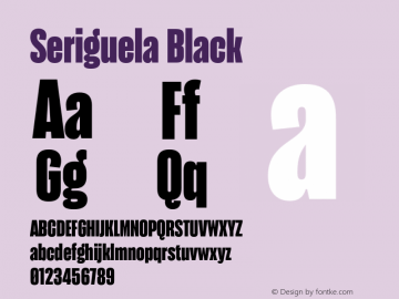 Seriguela Black Version 1.000;hotconv 1.0.109;makeotfexe 2.5.65596图片样张