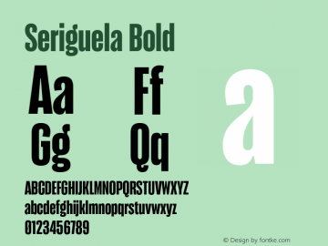 Seriguela Bold Version 1.000;hotconv 1.0.109;makeotfexe 2.5.65596图片样张