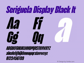 Seriguela Display Black It Version 1.000;hotconv 1.0.109;makeotfexe 2.5.65596图片样张