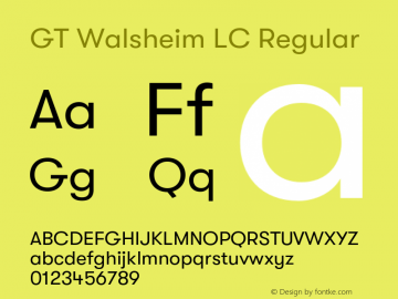 GT Walsheim LC Rg Version 2.008;hotconv 1.0.109;makeotfexe 2.5.65596图片样张