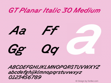 GT Planar Italic 30 Medium Version 2.001;FEAKit 1.0图片样张