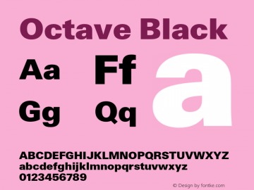 Octave Black Version 1.100;hotconv 1.0.114;makeotfexe 2.5.65599图片样张