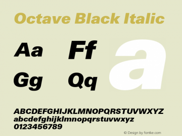 Octave Black Italic Version 1.100;hotconv 1.0.114;makeotfexe 2.5.65599图片样张