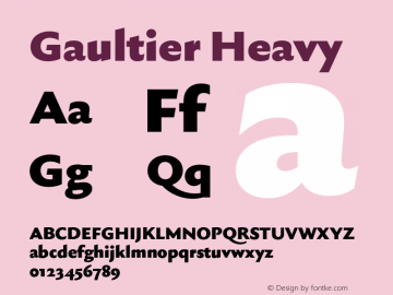 Gaultier Heavy Version 1.000;hotconv 1.0.109;makeotfexe 2.5.65596图片样张