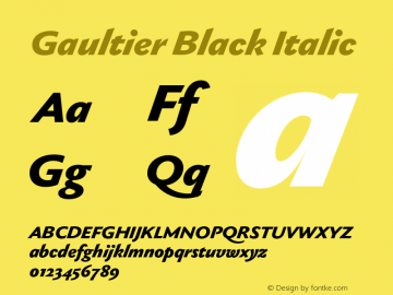 Gaultier Black Italic Version 1.000;hotconv 1.0.109;makeotfexe 2.5.65596图片样张