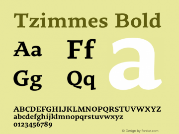 Tzimmes Bold Version 1.100;PS 001.100;hotconv 1.0.88;makeotf.lib2.5.64775图片样张