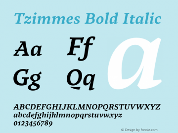 Tzimmes Bold Italic Version 1.001;PS 001.001;hotconv 1.0.88;makeotf.lib2.5.64775图片样张