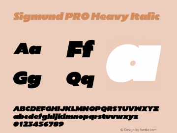 Sigmund PRO Heavy Italic Version 1.000;hotconv 1.0.109;makeotfexe 2.5.65596图片样张