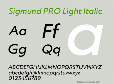 Sigmund PRO Light Italic Version 1.000;hotconv 1.0.109;makeotfexe 2.5.65596图片样张