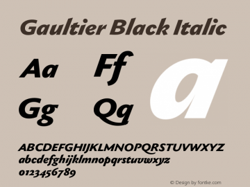 Gaultier Black Italic Version 1.000;hotconv 1.0.109;makeotfexe 2.5.65596图片样张