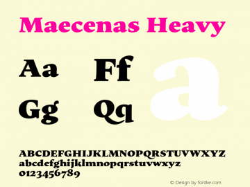 Maecenas Heavy Version 1.006;hotconv 1.0.109;makeotfexe 2.5.65596图片样张