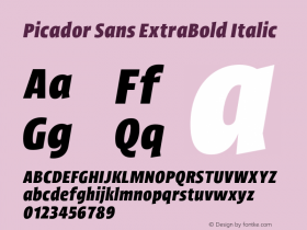 Picador Sans ExtraBold Italic Version 1.000;PS 001.000;hotconv 1.0.88;makeotf.lib2.5.64775图片样张