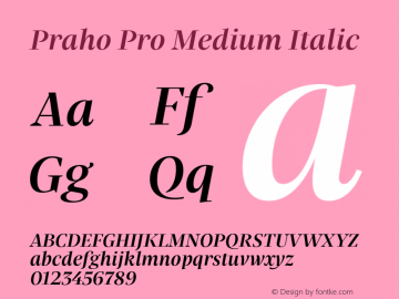 Praho Pro Medium Italic Version 1.001;PS 001.001;hotconv 1.0.88;makeotf.lib2.5.64775图片样张