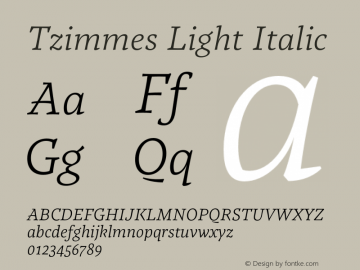 Tzimmes Light Italic Version 1.001;PS 001.001;hotconv 1.0.88;makeotf.lib2.5.64775图片样张