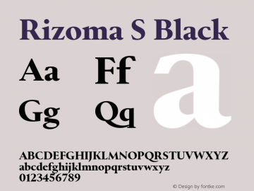 RizomaS-Black Version 1.000图片样张
