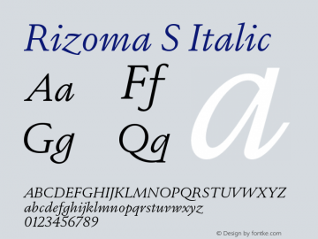 RizomaS-Italic Version 1.000图片样张
