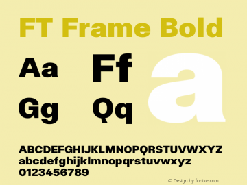 FT Frame Bold Version 1.000;FEAKit 1.0图片样张