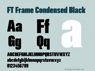 FT Frame Condensed Black Version 1.000;FEAKit 1.0图片样张