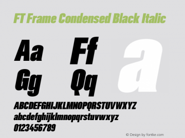 FT Frame Condensed Black Italic Version 1.000;FEAKit 1.0图片样张