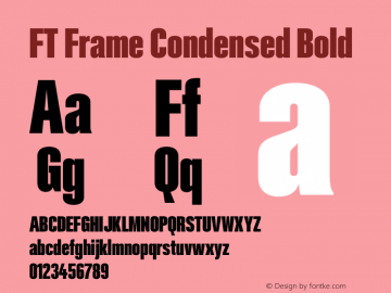 FT Frame Condensed Bold Version 1.000;FEAKit 1.0图片样张