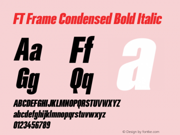 FT Frame Condensed Bold Italic Version 1.000;FEAKit 1.0图片样张