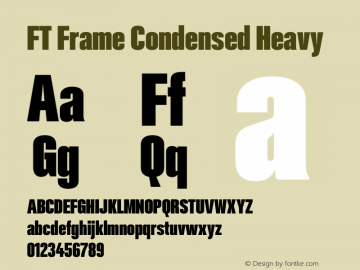 FT Frame Condensed Heavy Version 1.000;FEAKit 1.0图片样张