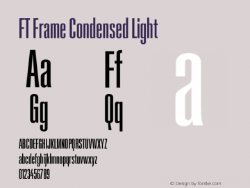 FT Frame Condensed Light Version 1.000;FEAKit 1.0图片样张