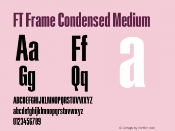 FT Frame Condensed Medium Version 1.000;FEAKit 1.0图片样张