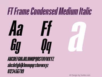 FT Frame Condensed Medium Italic Version 1.000;FEAKit 1.0图片样张