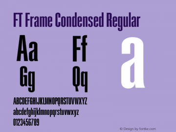 FT Frame Condensed Regular Version 1.000;FEAKit 1.0图片样张