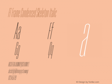 FT Frame Condensed Skeleton Italic Version 1.000;FEAKit 1.0图片样张