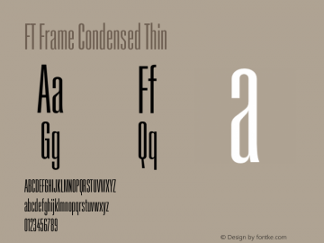 FT Frame Condensed Thin Version 1.000;FEAKit 1.0图片样张