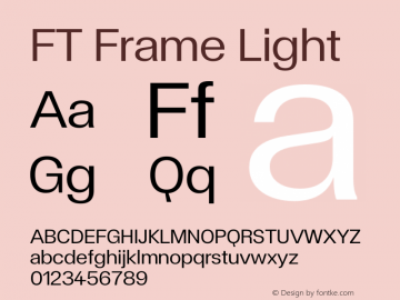 FT Frame Light Version 1.000;FEAKit 1.0图片样张